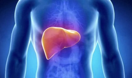 Здравето на черния дроб е от изключителна важност