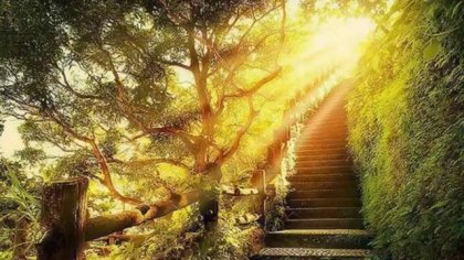 С мисъл и прости действия болестта бяга далеч от нас