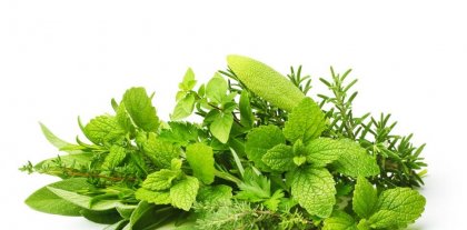 Билкова отвара срещу стомашни киселини