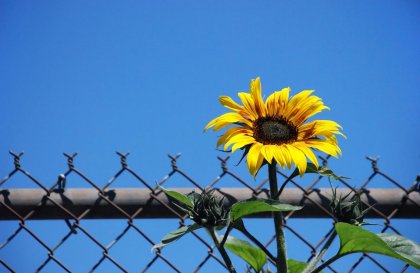 От здравето по-важно и по-хубаво няма!