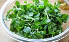 Детоксикацията през пролетта е най-полезна