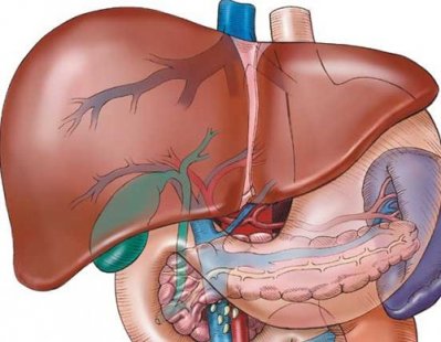 Цирозата ли е най-страшната болест, следствие от алкохолизма?