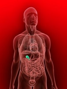 Диагностика на жлъчния мехур