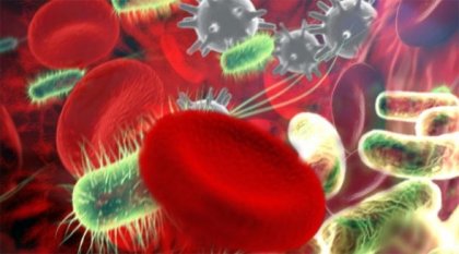 Алкохолизмът и наличието на бактерии в кръвта вървят ръка за ръка