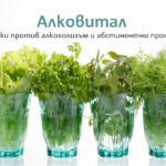 Най-добре алкохолната зависимост се повлиява от билките