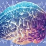 човешка памет