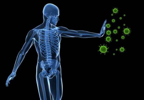 имунна система