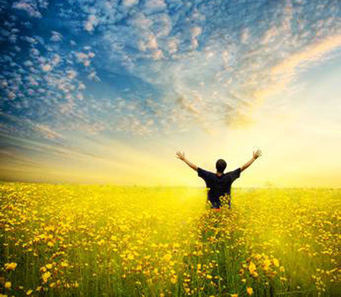 без зависимост от алкохола