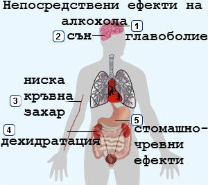 Сериозно за вредите от алкохола