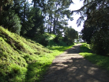 Разходките сред природата са полезни за зависимите от алкохола