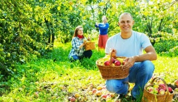 Живот без алкохол е истински, пълноценен живот!