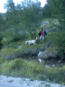 диабет движение