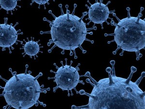 черен дроб здраве