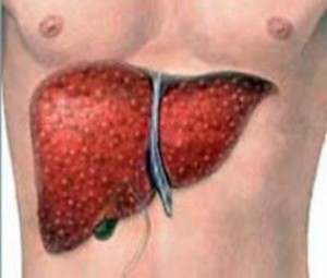 article_7432_thema88