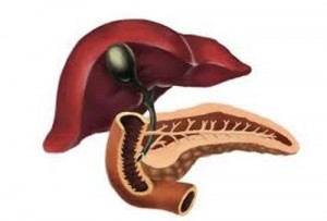 hidrops-vesicae-felleae