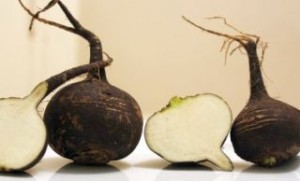 sus-sok-ot-cherna-rqpa-ili-zehtin-shte-izlekuvate-vuzpalenieto-na-jluchkata-framar