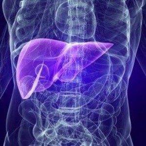 probiv-yaponski-ucheni-otgledaha-choveshki-cheren-drob-ot-stvolovi-kletki