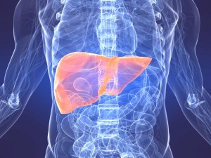 черния дроб