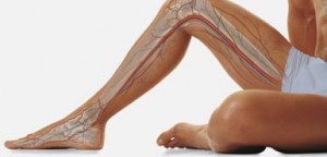 разширени вени