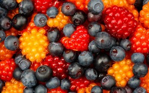 Colorful Berries, Prince William Sound, Chugach National Forest, Alaska.
