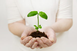 ново начало 