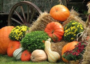  полезни за черния дроб