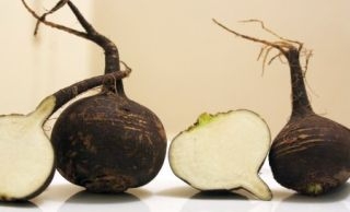 Черна ряпа прочиства черния дроб и жлъчката