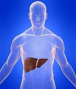 Пречистете организма и отслабнете с Глюкоманан