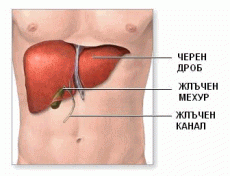 Чернодробни проблеми – защо не трябва да ги подценяваме?