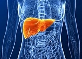 Какви са симптомите на болките в черния дроб?