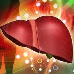 Чернодробната стеатоза не е чак толкова страшна, ако се „хване“ навреме