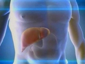 Защо черния дроб е важен за здравето?