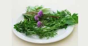 Прочистване на черния дроб се прави в началото на всеки сезон