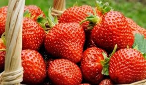 Има ли полза от ягодите за черния дроб?