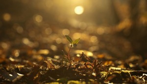 депресията