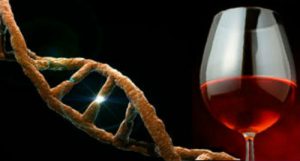 алкохолна депресия