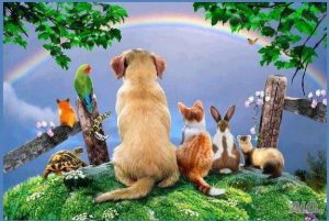  психични заболявания