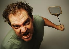 Какво е гняв и как той се различава от агресията?